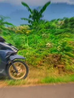 Vario 150