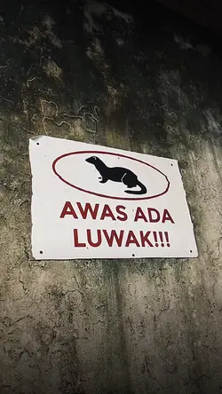 VERSI NO MIRROR 