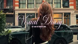 Visual Diary