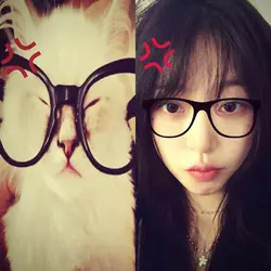 glasses 