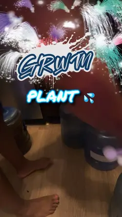 GRWM Plants