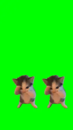 Kucing Kicau Mania