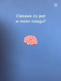 szablon
