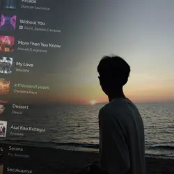 ss Spotify estetik 