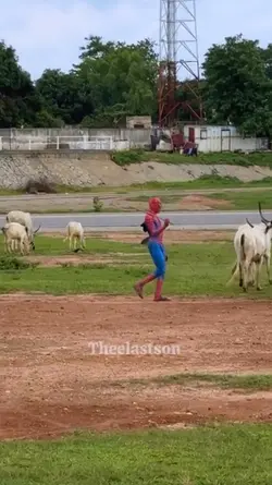 sound spiderman
