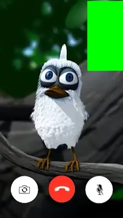 Bird calling meme