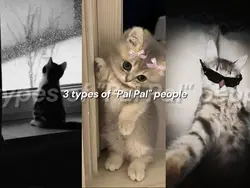 PAL PAL [3x]