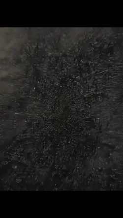 Trend Earth zoom