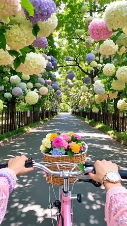 Spring Vibes