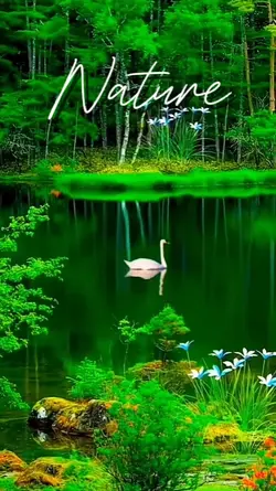 nature