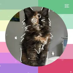 LGBT+ PFP!