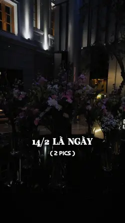 14/2 là ngày