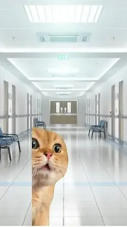 Hoh Did You Do In PE