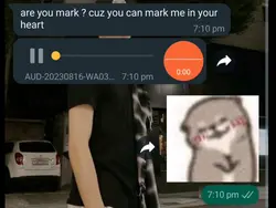 markcity rizz 