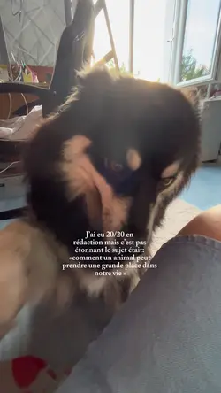 20/20 rédaction