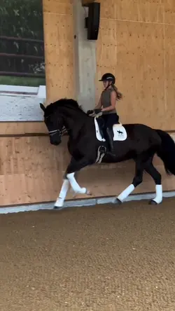 Equestrian slowmo