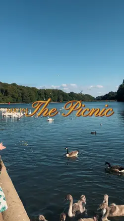 picnic time