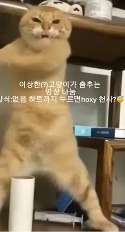 영상 나누미