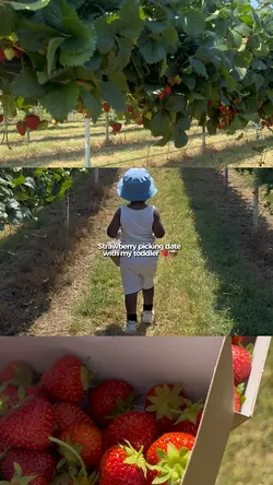 Strawberry picking 🍓