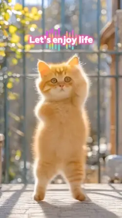 Dancing Cat