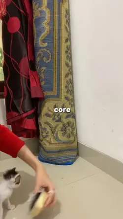 2 video core 