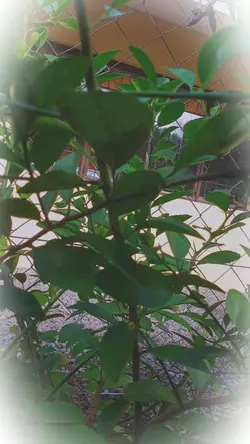 i love nature