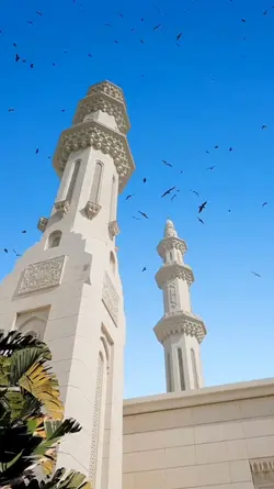 elhubbi fi albi