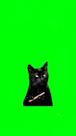 Green Screen Cat