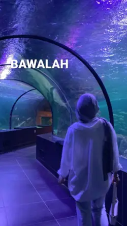 Bawalah pergi cinta