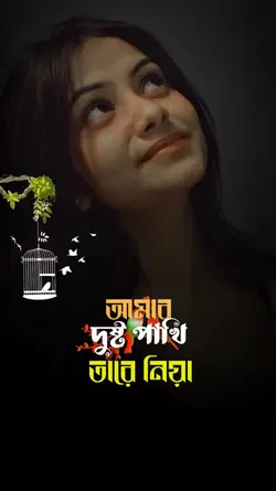 দুঃখের বোঝা,