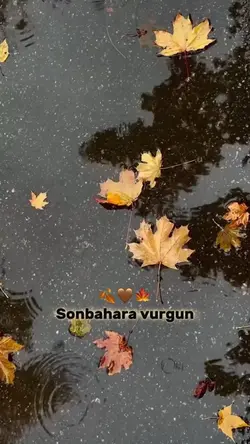 Sonbahar 🍂