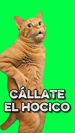 CÁLLATE EL HOCICO