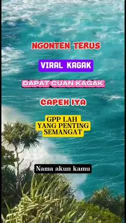 Template Reels FB Pr