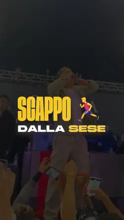 LV SIMBA 