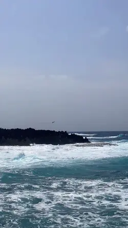 I love ocean 