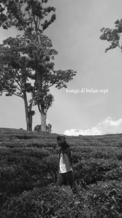 bunga di bulan sepi