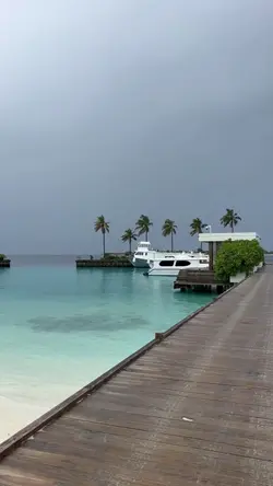 aesthetic video 