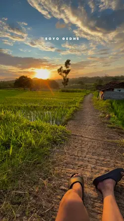 lanang tenan