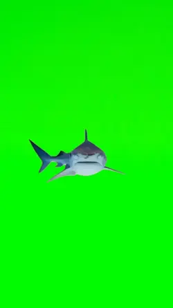 Greenscreen