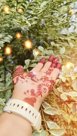 Mehendi ✋
