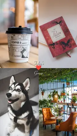 4 pics