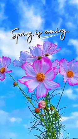 Spring is coming