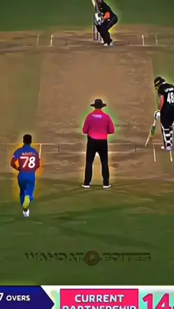 afghancricket video 