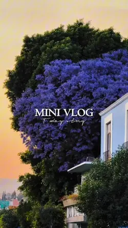 Mini vlog today