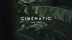 CINEMATIC RAIN VIBES