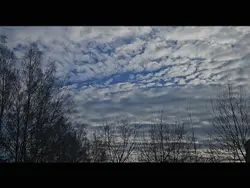 سلامات يا هوى
