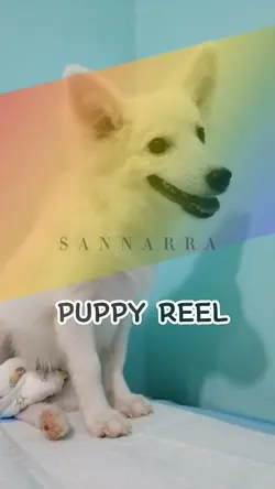 PuppyReel #7