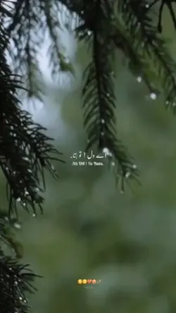 aye dil tu bata.