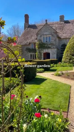 flower garden