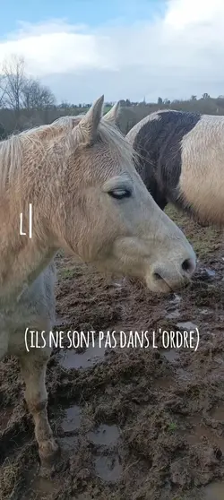 les pires 